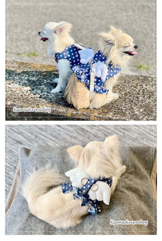 【犬用　天使ハーネス】Luanadog 犬用天使ハーネス】Luanadog