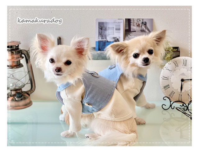 デニムベストハーネスリードセット 可愛い小型犬の洋服通販 鎌倉ドッグ