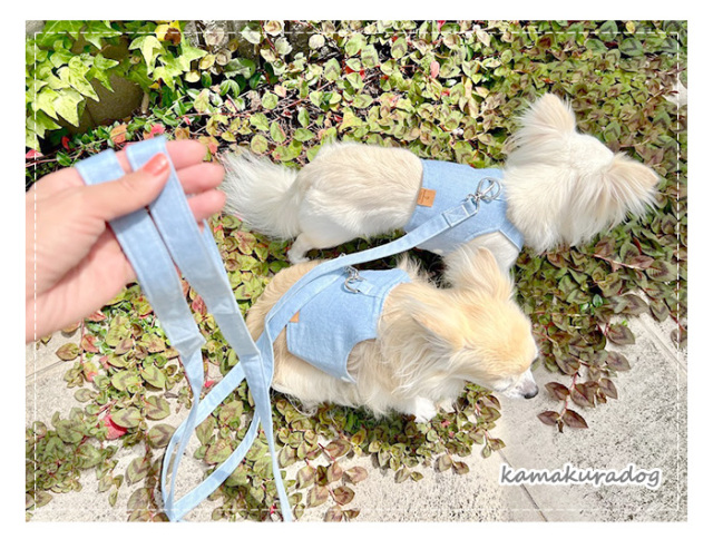 デニムベストハーネスリードセット 可愛い小型犬の洋服通販 鎌倉