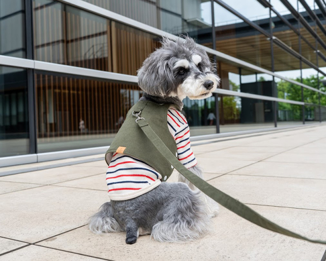 ベストハーネス・リード 可愛い小型犬の洋服通販 鎌倉ドッグ