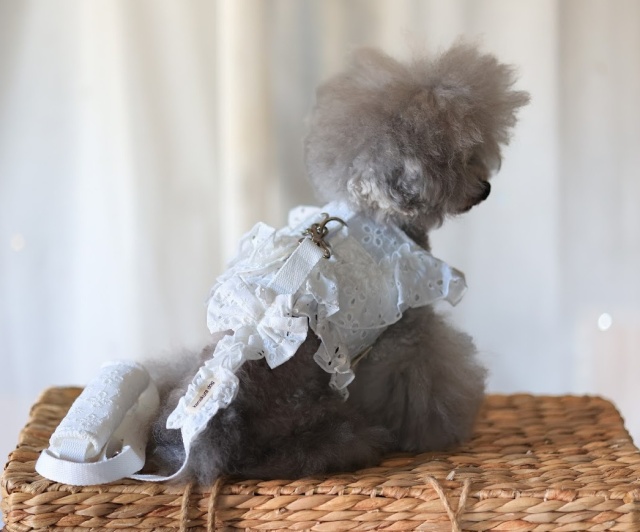 フリルレースハーネス・リード 可愛い小型犬の洋服通販 鎌倉ドッグ