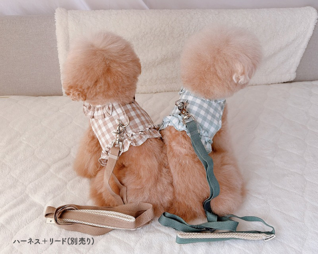 新品 CandyBuppie ギンガムチェックフリルハーネス h262ra2.jpg?t=20260316140944
