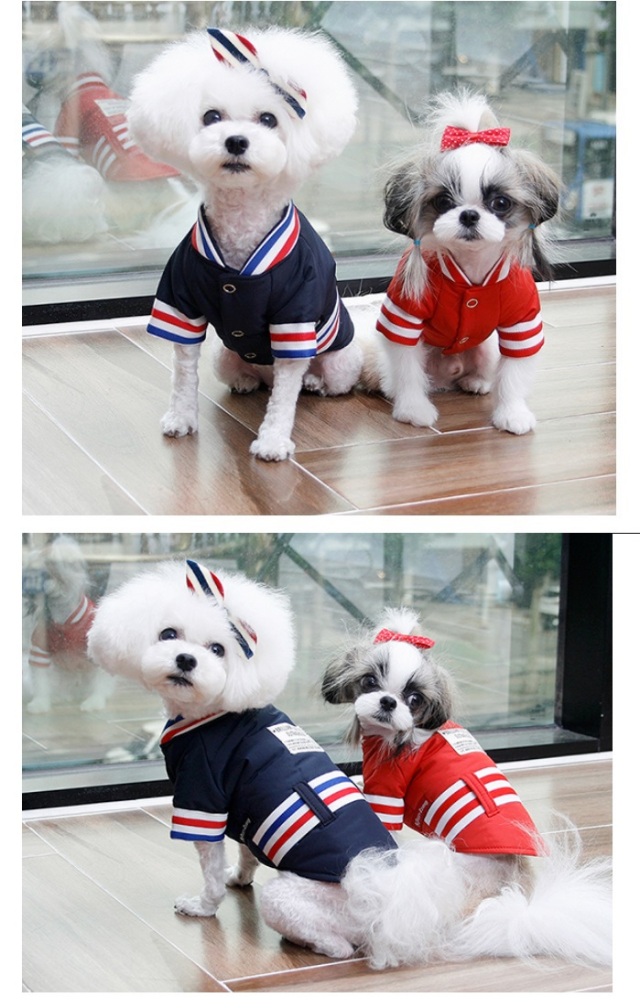 可愛い小型犬 洋服通販 冬用