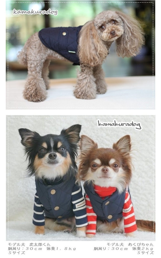 可愛い小型犬 洋服通販 冬用