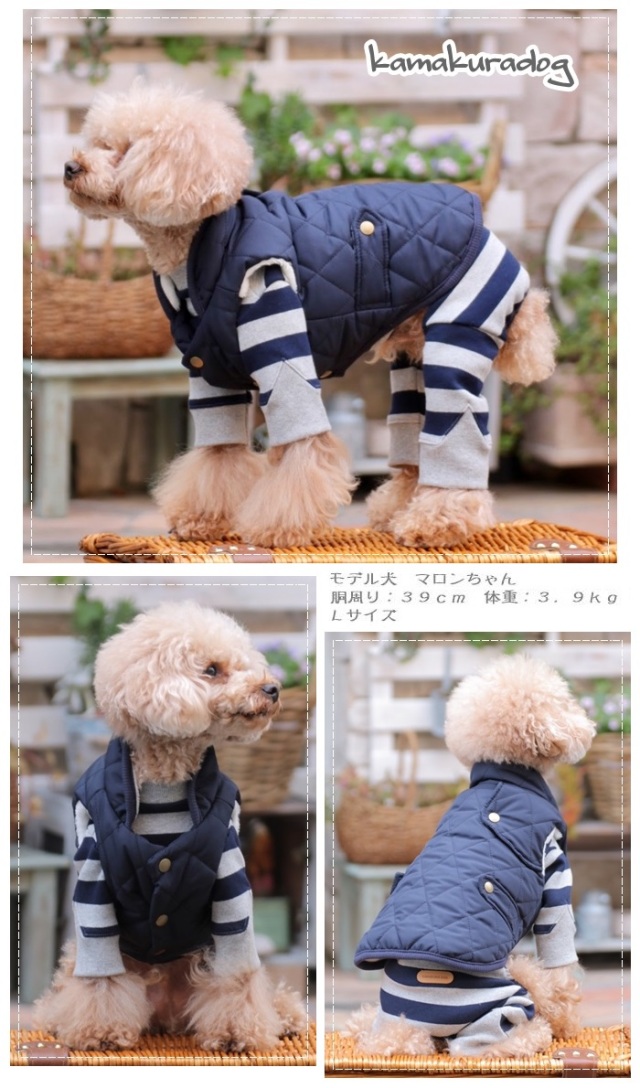 可愛い小型犬 洋服通販 冬用
