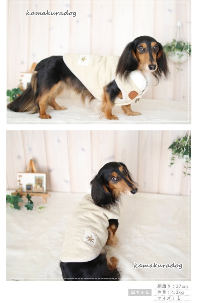 j244a.jpg?t=20201209145647