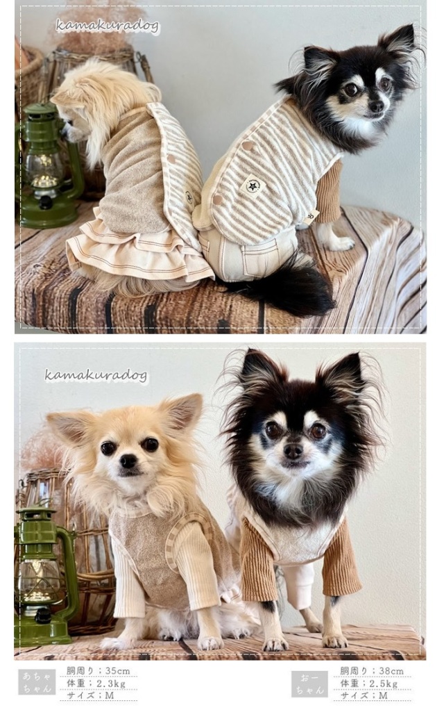 可愛い小型犬の洋服通販 鎌倉ドッグ ORGANICベスト