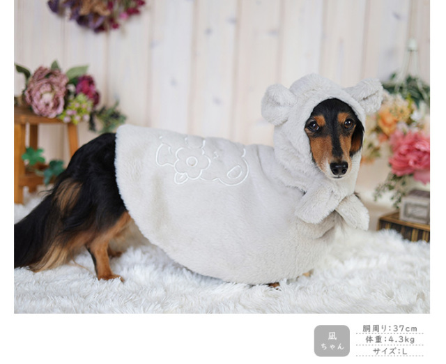 くまさんケープと耳付き帽子 可愛い小型犬の洋服通販 鎌倉ドッグ