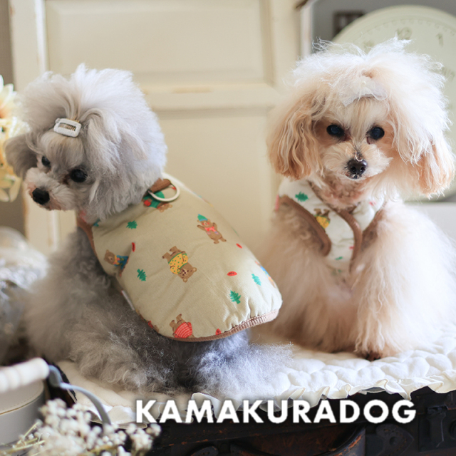 森のくまさんベスト