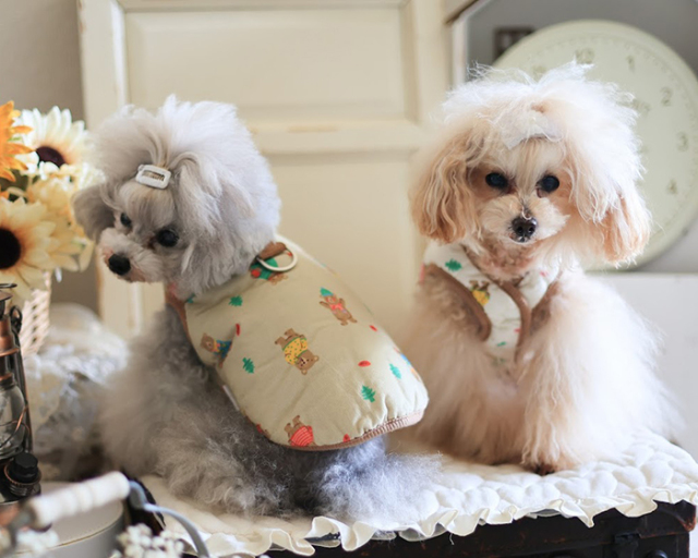 j302ra2.jpg?t=20251008144244