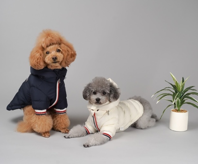 トリコロール発熱ダウン 可愛い小型犬の洋服通販 鎌倉ドッグ