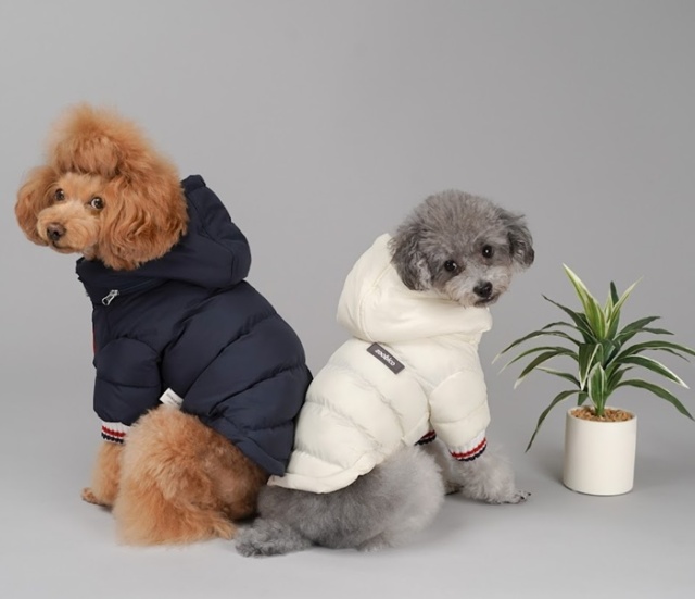 トリコロール発熱ダウン 可愛い小型犬の洋服通販 鎌倉ドッグ