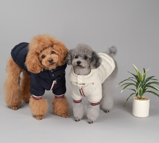 トリコロール発熱ダウン 可愛い小型犬の洋服通販 鎌倉ドッグ