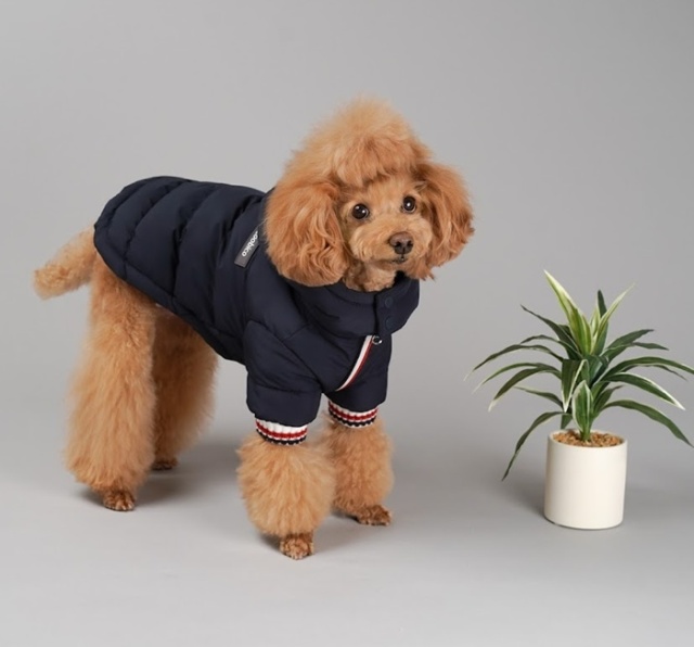 トリコロール発熱ダウン 可愛い小型犬の洋服通販 鎌倉ドッグ