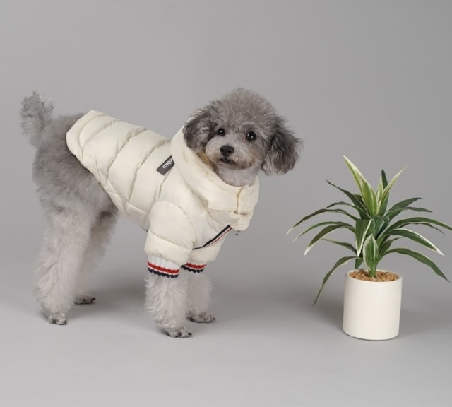 新品未使用　犬　ドッグ　ダウン　コスプレ トリコロール発熱ダウン 可愛い小型犬の洋服通販 鎌倉ドッグ