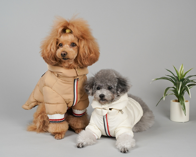 トリコロール発熱ダウン 可愛い小型犬の洋服通販 鎌倉ドッグ