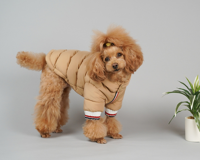 トリコロール発熱ダウン 可愛い小型犬の洋服通販 鎌倉ドッグ