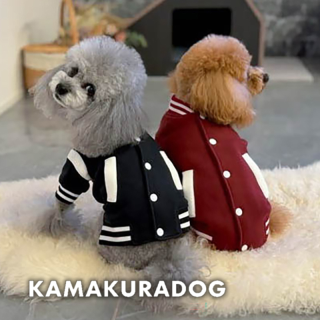 カレッジスタジャン 可愛い小型犬の洋服通販 鎌倉ドッグ