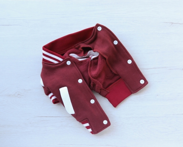 カレッジスタジャン 可愛い小型犬の洋服通販 鎌倉ドッグ