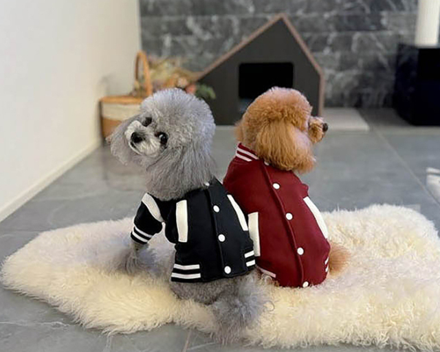 カレッジスタジャン 可愛い小型犬の洋服通販 鎌倉ドッグ