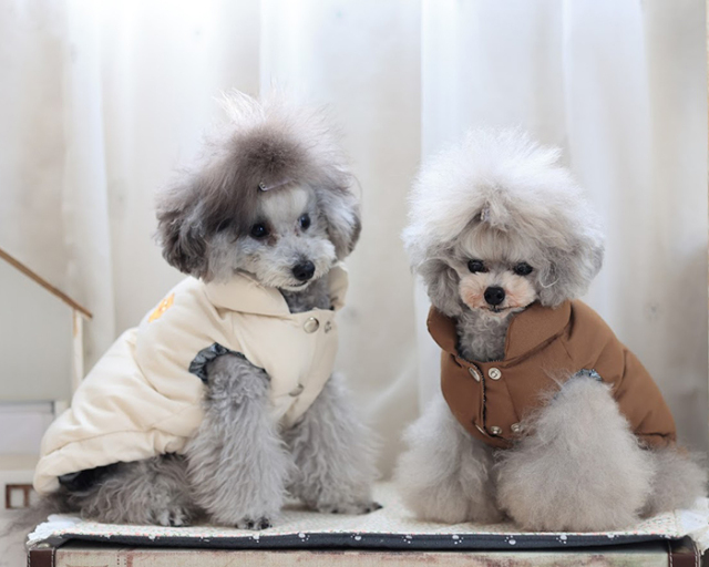 ハッピーベア発熱ベスト 可愛い小型犬の洋服通販 鎌倉ドッグ