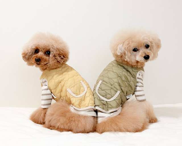 リバーシブルハートベスト 可愛い小型犬の洋服通販 鎌倉ドッグ