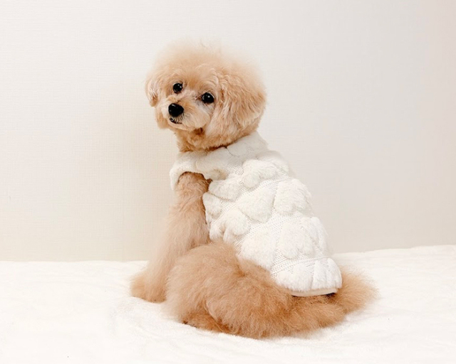 リバーシブルハートベスト 可愛い小型犬の洋服通販 鎌倉ドッグ