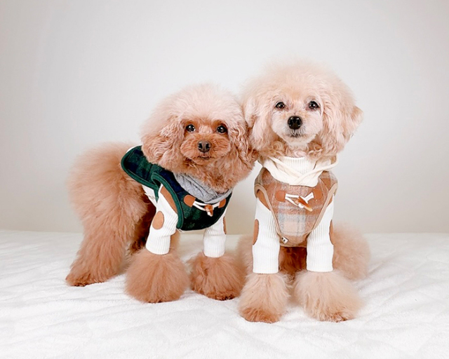 チェック柄ケープベスト 可愛い小型犬の洋服通販 鎌倉ドッグ