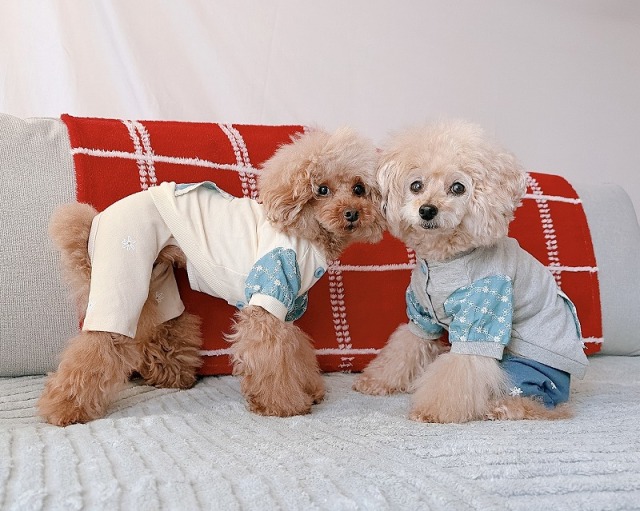 フラワーポケットジャケット 可愛い小型犬の洋服通販 鎌倉ドッグ