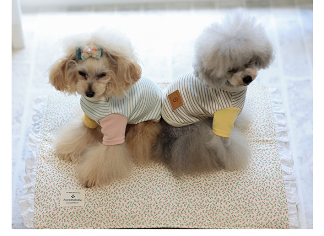 犬用ハンドメイドアクセ♡値下げ‼️ 可愛い小型犬用アクセサリー通販 鎌倉DOG シフォンリボンネックレス