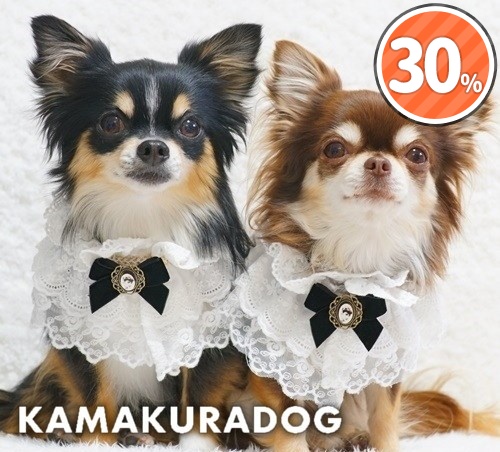 エレガントスカーフ