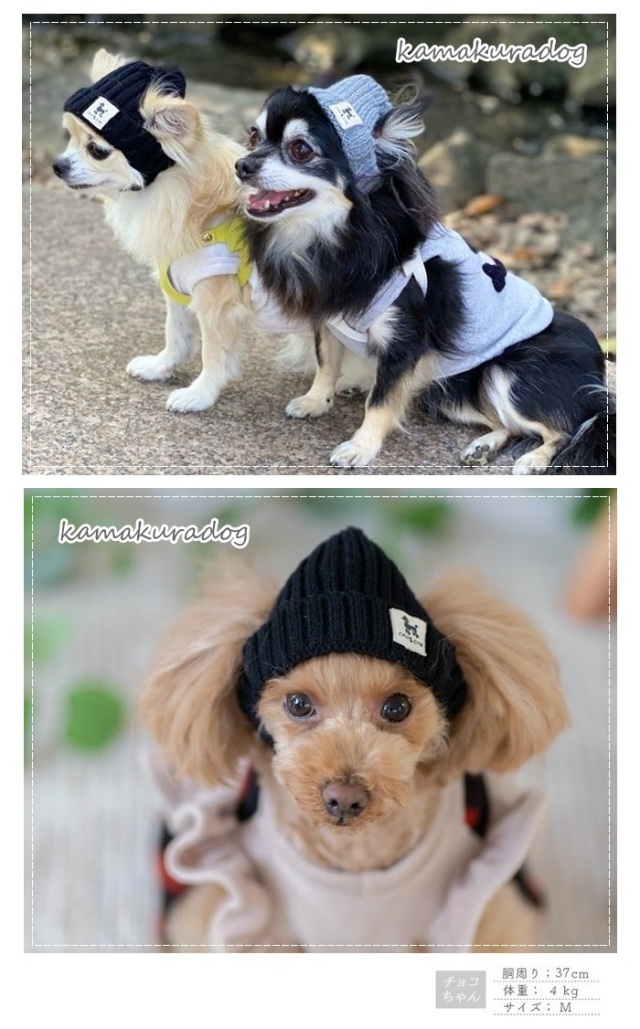 犬服セーター&帽子 オーダー品