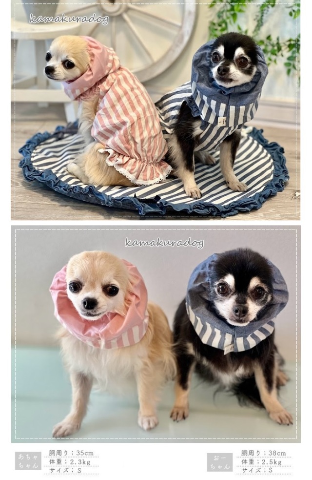 可愛い小型犬の洋服通販 鎌倉ドッグ ボーダー＆フラワースヌード