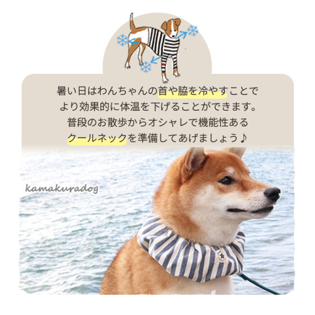 可愛い小型犬の洋服通販 鎌倉ドッグ クールネック
