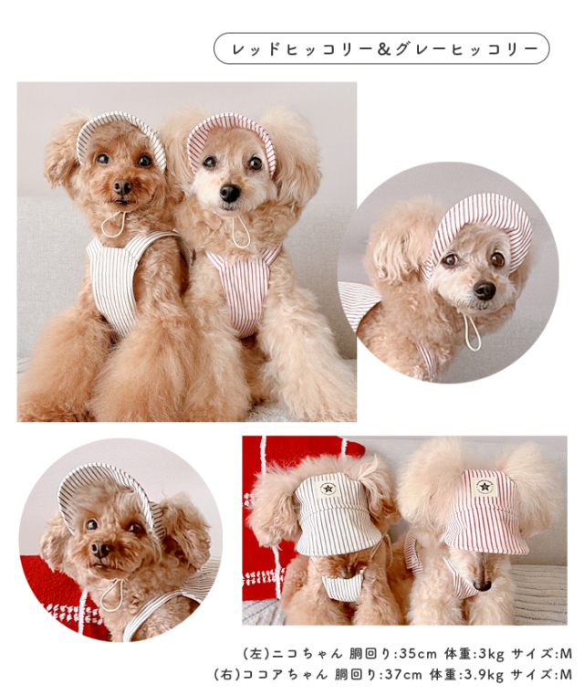 可愛い小型犬の洋服通販 鎌倉ドッグ デニム風キャップ