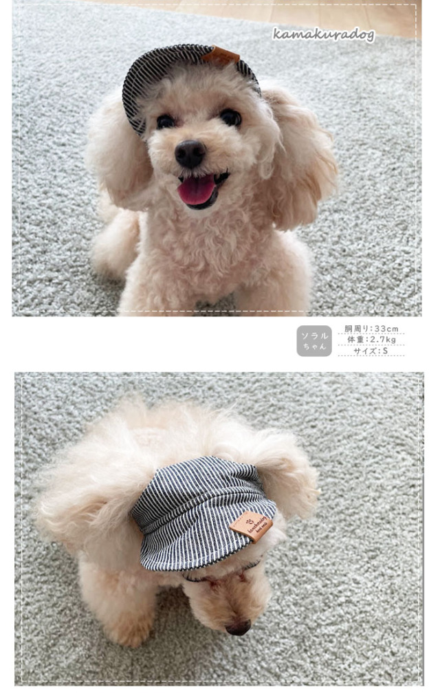 可愛い小型犬の洋服通販 鎌倉ドッグ デニム風キャップ