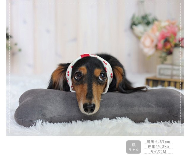 可愛い小型犬の洋服通販 鎌倉ドッグ ボーダーズヘアバンド