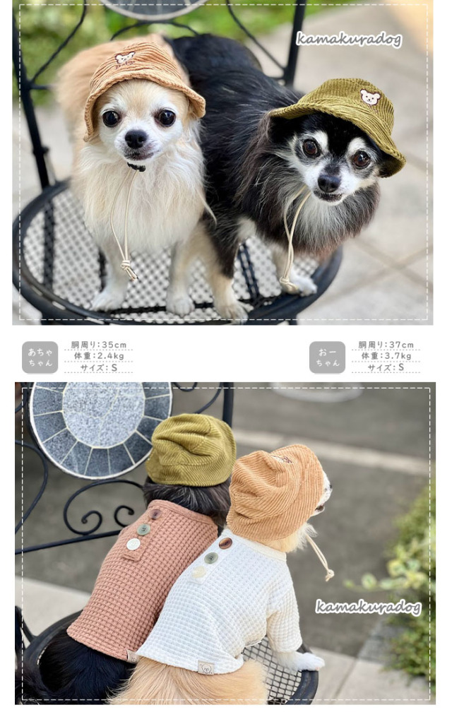 可愛い小型犬の洋服通販 鎌倉ドッグ バケットハット 可愛い小型犬の洋服通販 鎌倉ドッグ バケットハット