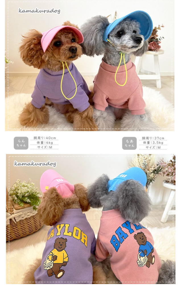 可愛い小型犬の洋服通販 鎌倉ドッグ マークMキャップ