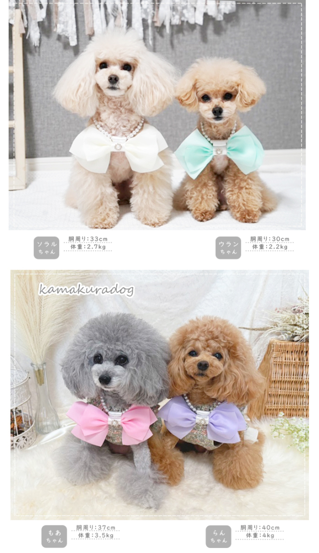 可愛い小型犬の洋服通販 鎌倉ドッグ リボンパールネックレス