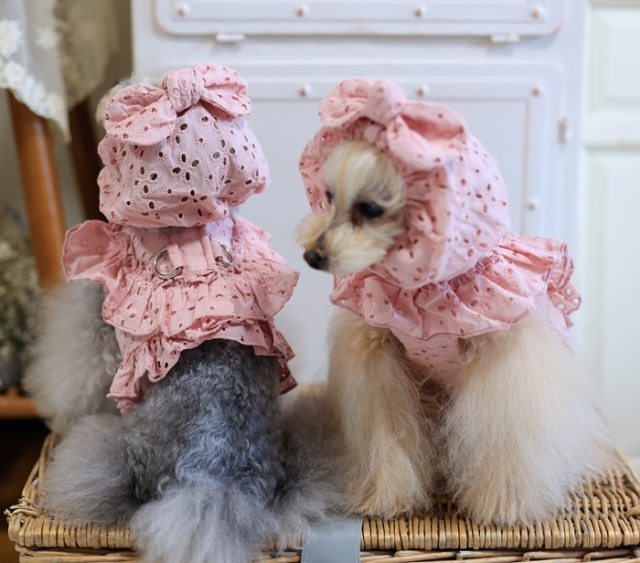 コットンレーススヌード 可愛い小型犬の洋服通販 鎌倉ドッグ