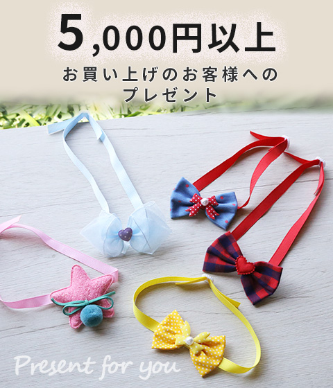 5,000円以上のお買い上げ