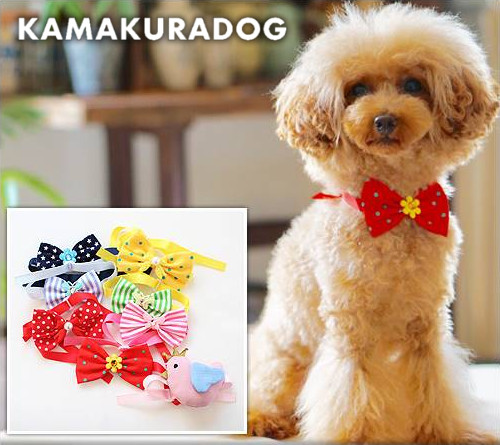 CUTEチョーカー