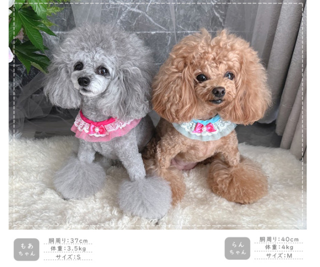 可愛い小型犬の洋服通販 鎌倉ドッグ うっとりフラワースカーフ