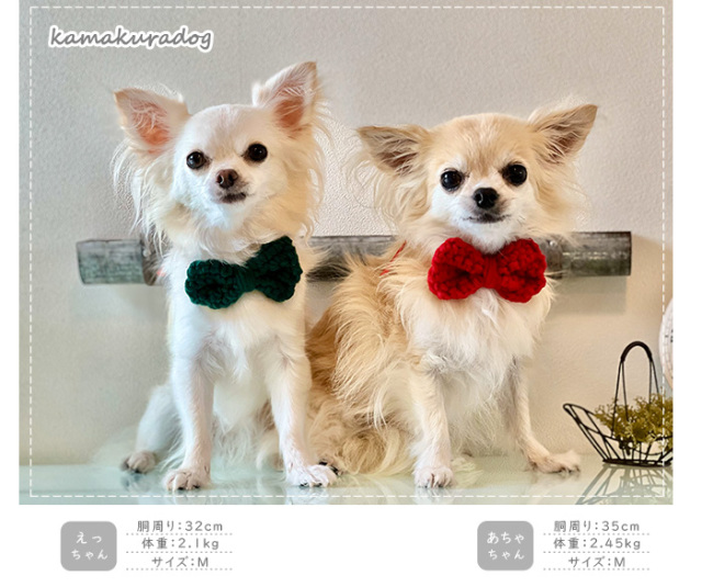 蝶と犬 蝶と犬 蝶と犬 Yahoo!オークション - Z/X ゼクス 蝶ヶ崎ほのめ