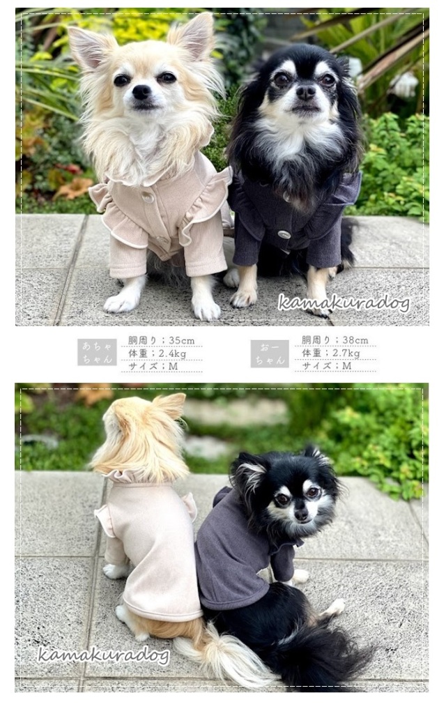 可愛い小型犬の洋服通販 鎌倉ドッグ クラシックフリルトップス