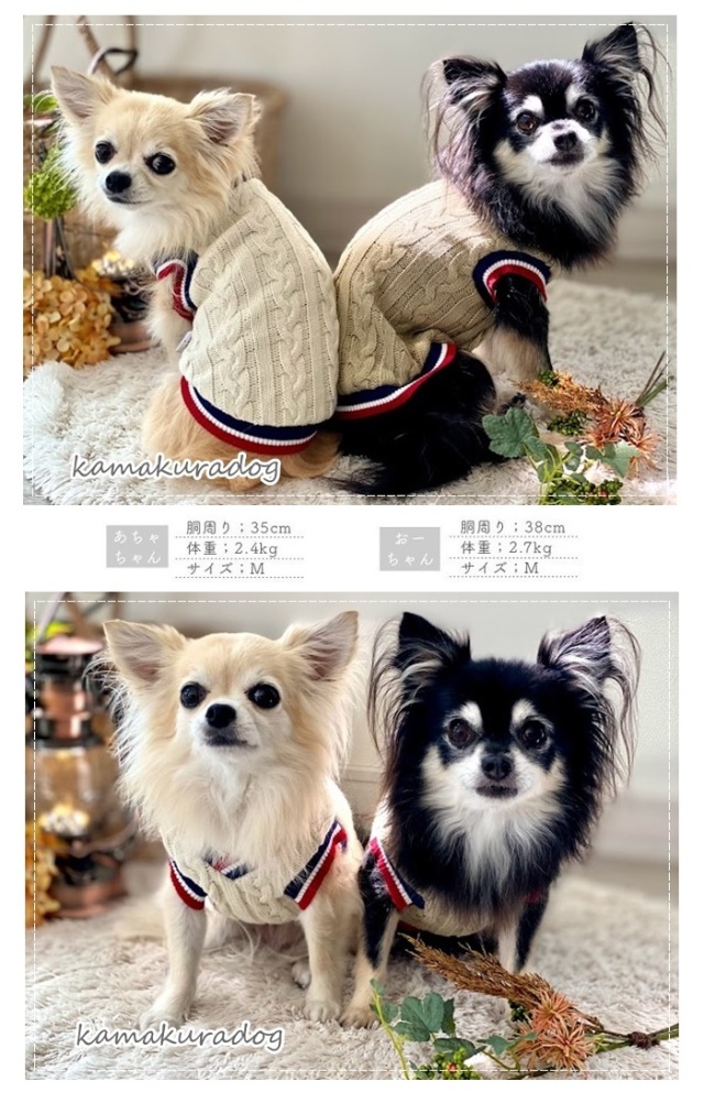可愛い小型犬の洋服通販 鎌倉ドッグ トリコケーブルニット
