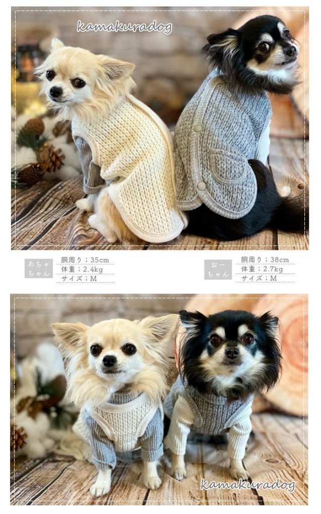 可愛い小型犬の洋服通販 鎌倉ドッグ ボタン付きニットベスト