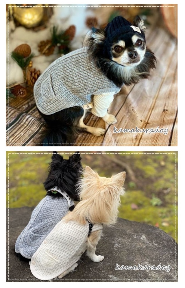 可愛い小型犬の洋服通販 鎌倉ドッグ ボタン付きニットベスト