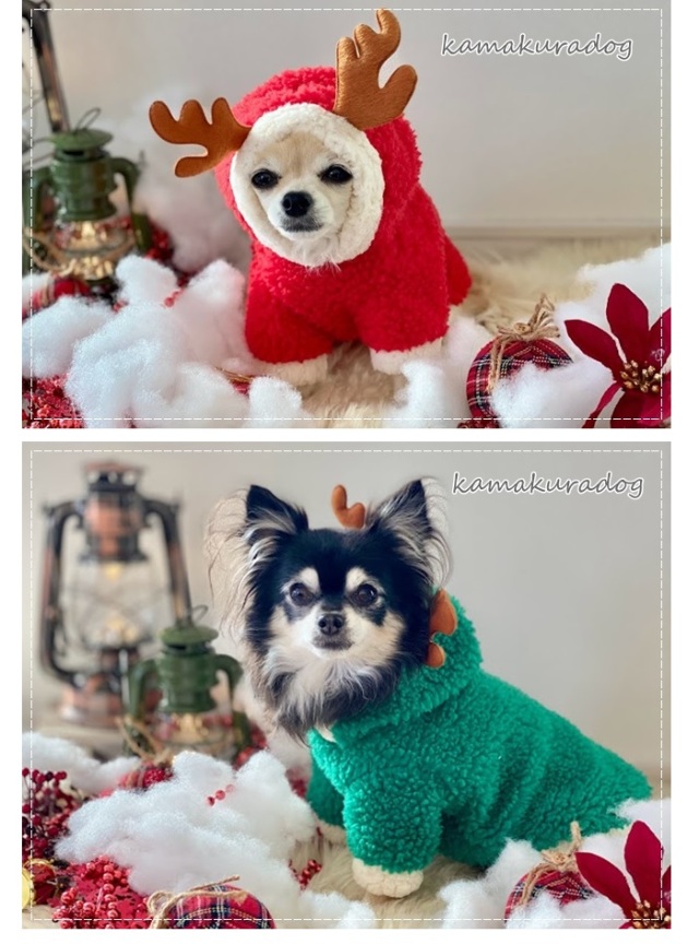 可愛い小型犬の洋服通販 鎌倉ドッグ トナカイフードボア